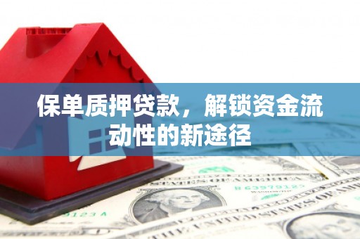 西畴保单质押贷款，解锁资金流动性的新途径