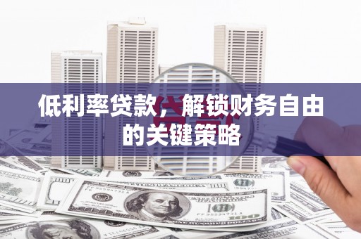 西畴低利率贷款，解锁财务自由的关键策略