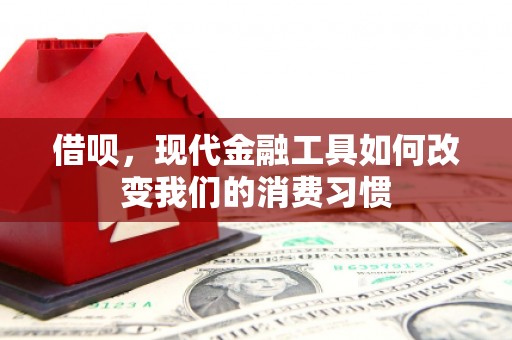 西畴借呗，现代金融工具如何改变我们的消费习惯