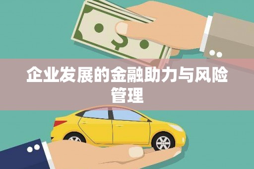 西畴企业发展的金融助力与风险管理