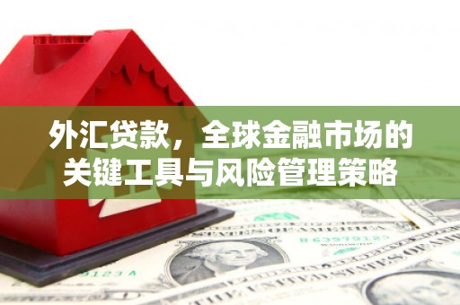 西畴外汇贷款，全球金融市场的关键工具与风险管理策略