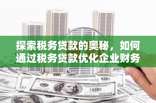 西畴探索税务贷款的奥秘，如何通过税务贷款优化企业财务