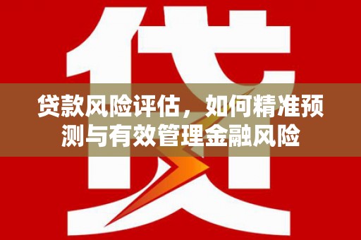 西畴贷款风险评估，如何精准预测与有效管理金融风险