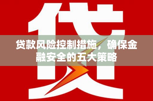 西畴贷款风险控制措施，确保金融安全的五大策略