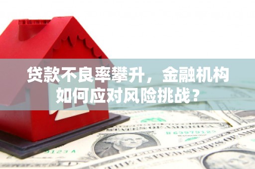 西畴贷款不良率攀升，金融机构如何应对风险挑战？