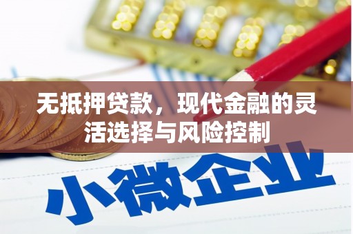 西畴无抵押贷款，现代金融的灵活选择与风险控制