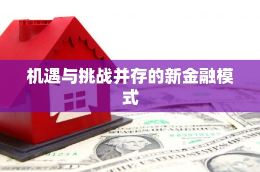 西畴机遇与挑战并存的新金融模式