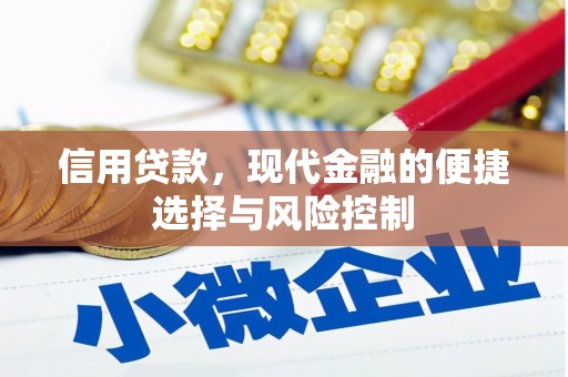 西畴信用贷款，现代金融的便捷选择与风险控制