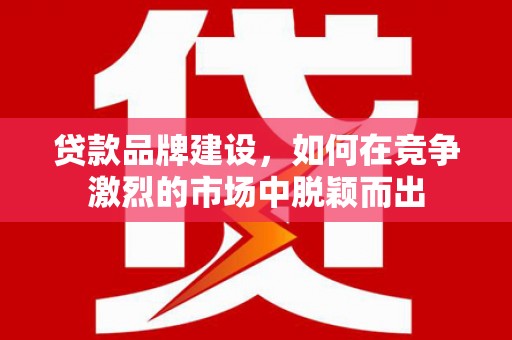 西畴贷款品牌建设，如何在竞争激烈的市场中脱颖而出