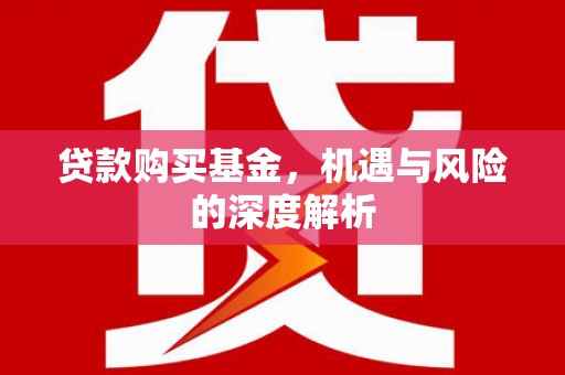 西畴贷款购买基金，机遇与风险的深度解析