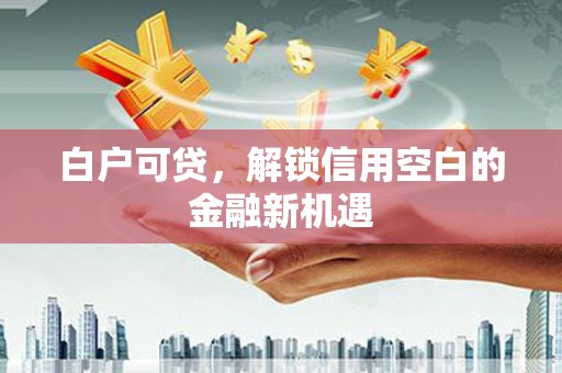 西畴白户可贷，解锁信用空白的金融新机遇