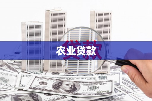 西畴农业贷款