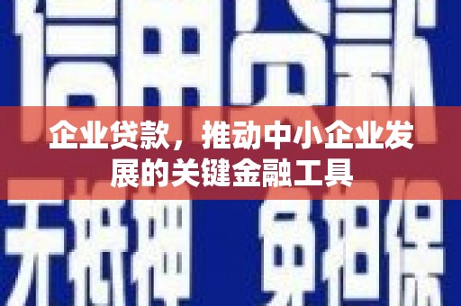 西畴企业贷款，推动中小企业发展的关键金融工具