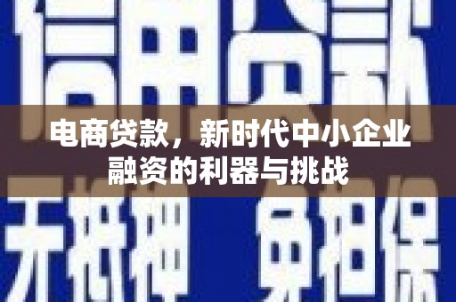 西畴电商贷款，新时代中小企业融资的利器与挑战