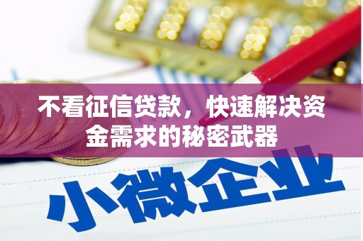 西畴不看征信贷款，快速解决资金需求的秘密武器