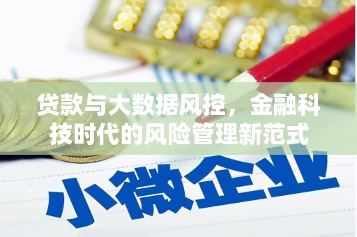西畴贷款与大数据风控，金融科技时代的风险管理新范式