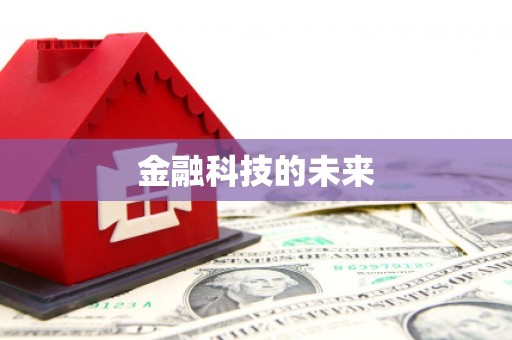西畴金融科技的未来
