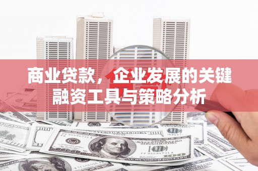 西畴商业贷款，企业发展的关键融资工具与策略分析