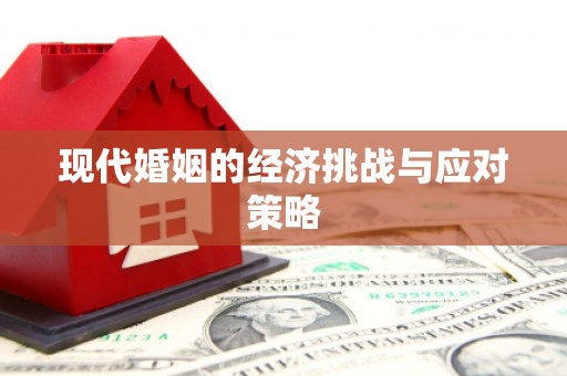 西畴现代婚姻的经济挑战与应对策略