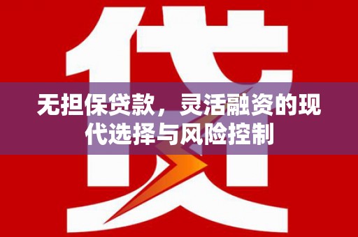 西畴无担保贷款，灵活融资的现代选择与风险控制