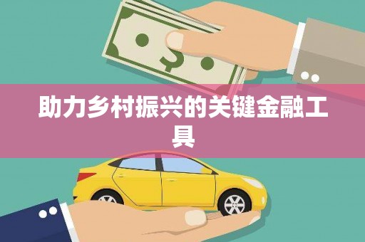 西畴助力乡村振兴的关键金融工具