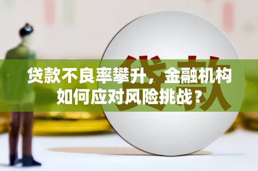 西畴贷款不良率攀升，金融机构如何应对风险挑战？