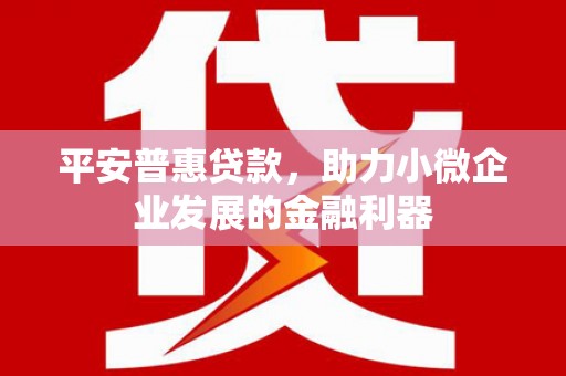 西畴平安普惠贷款，助力小微企业发展的金融利器