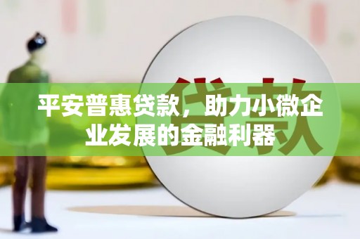 西畴平安普惠贷款，助力小微企业发展的金融利器