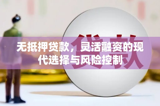 西畴无抵押贷款，灵活融资的现代选择与风险控制