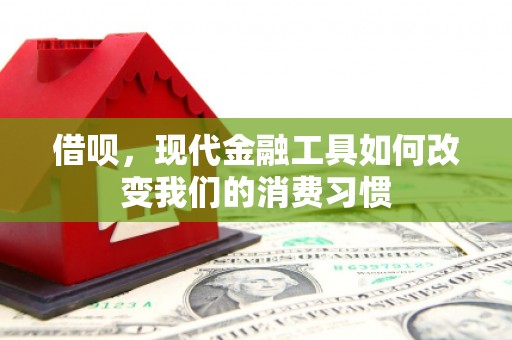 西畴借呗，现代金融工具如何改变我们的消费习惯