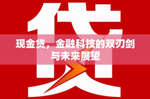 西畴现金贷，金融科技的双刃剑与未来展望