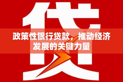 西畴政策性银行贷款，推动经济发展的关键力量