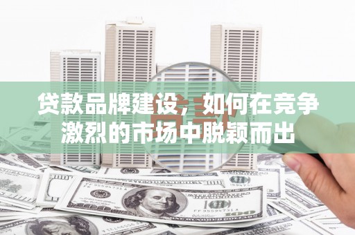 西畴贷款品牌建设，如何在竞争激烈的市场中脱颖而出