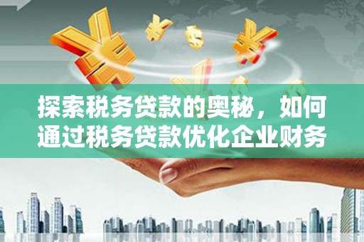 西畴探索税务贷款的奥秘，如何通过税务贷款优化企业财务