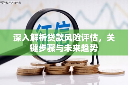 西畴深入解析贷款风险评估，关键步骤与未来趋势