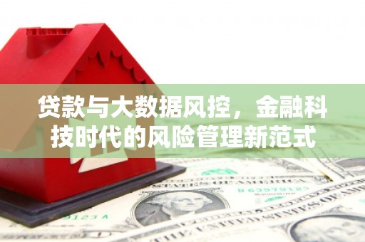 西畴贷款与大数据风控，金融科技时代的风险管理新范式