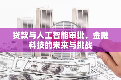 西畴贷款与人工智能审批，金融科技的未来与挑战