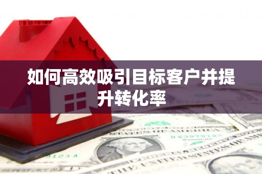 西畴如何高效吸引目标客户并提升转化率
