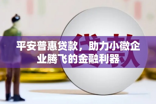 西畴平安普惠贷款，助力小微企业腾飞的金融利器