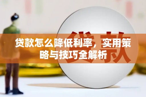 西畴贷款怎么降低利率，实用策略与技巧全解析