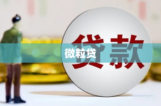 西畴微粒贷