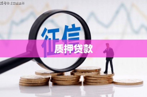 西畴质押贷款