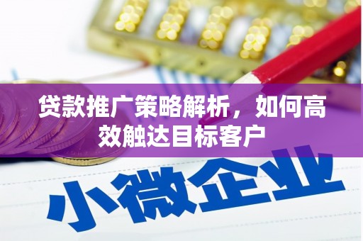西畴贷款推广策略解析，如何高效触达目标客户