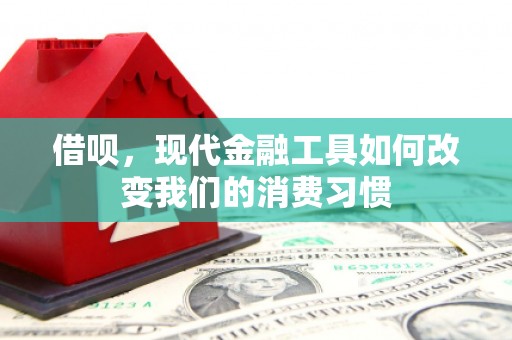 西畴借呗，现代金融工具如何改变我们的消费习惯