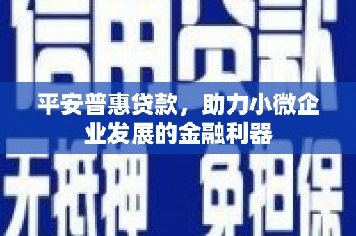 西畴平安普惠贷款，助力小微企业发展的金融利器