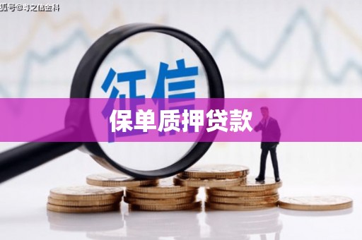 西畴保单质押贷款