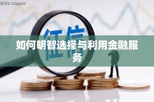 西畴如何明智选择与利用金融服务