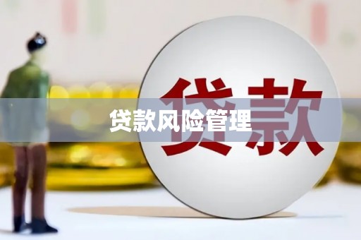 西畴贷款风险管理