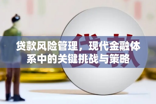 西畴贷款风险管理，现代金融体系中的关键挑战与策略
