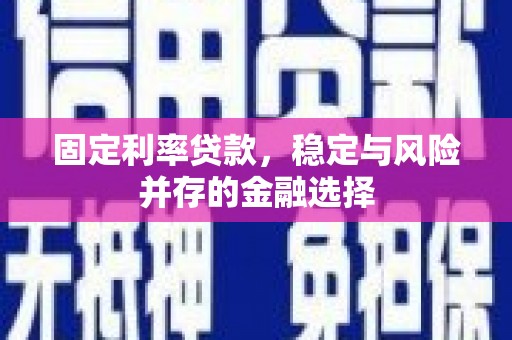 西畴固定利率贷款，稳定与风险并存的金融选择